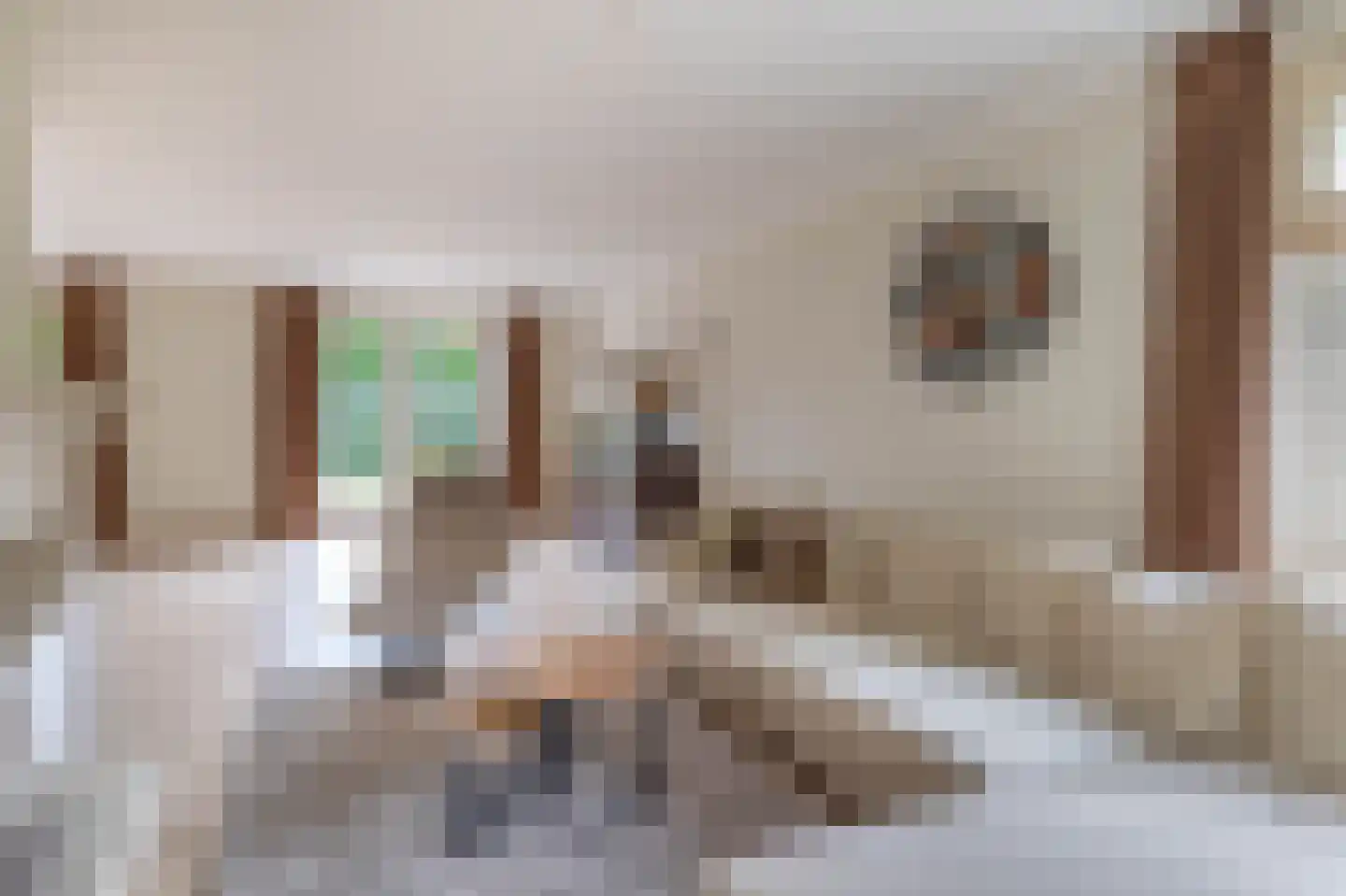 Lage Daalakker 16 Bavel thumbnail 14