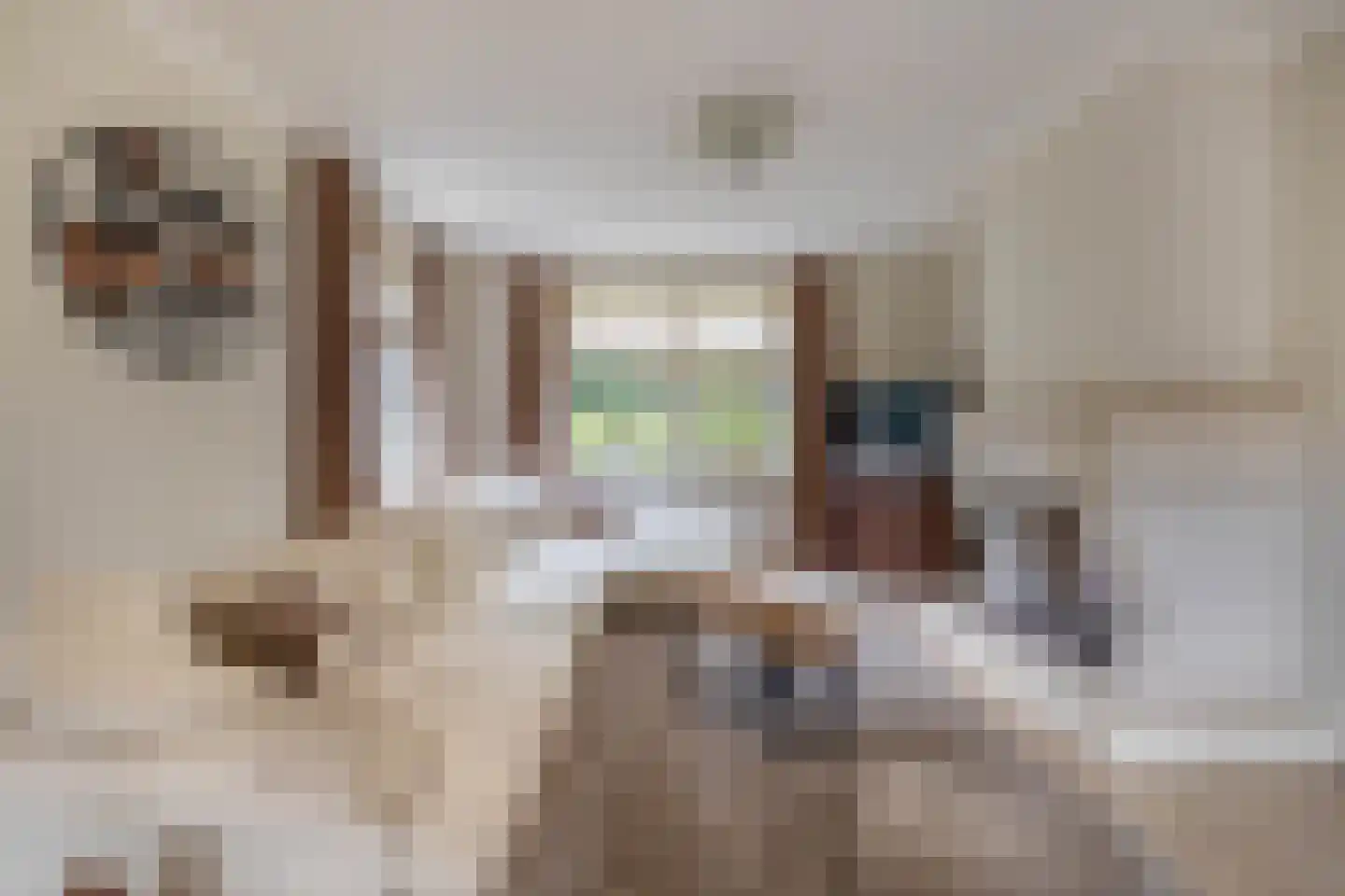 Lage Daalakker 16 Bavel thumbnail 15