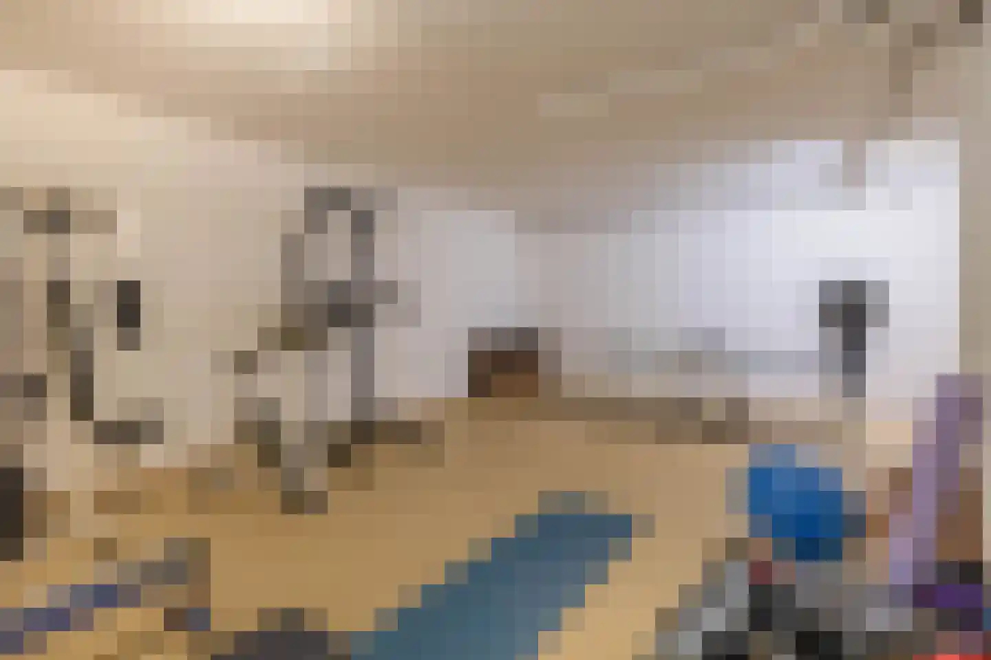 Lage Daalakker 16 Bavel thumbnail 58