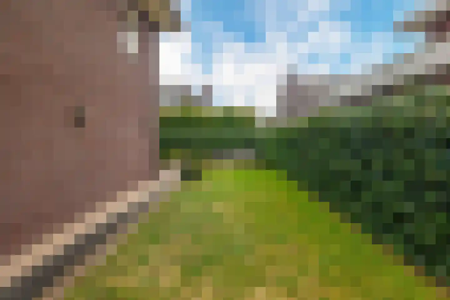 Lage Daalakker 16 Bavel thumbnail 63
