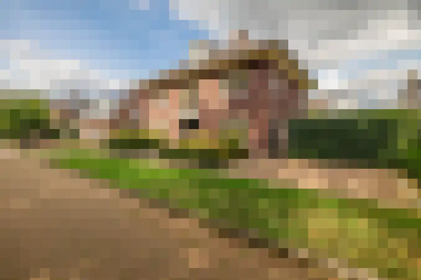 Lage Daalakker 16 Bavel thumbnail 7