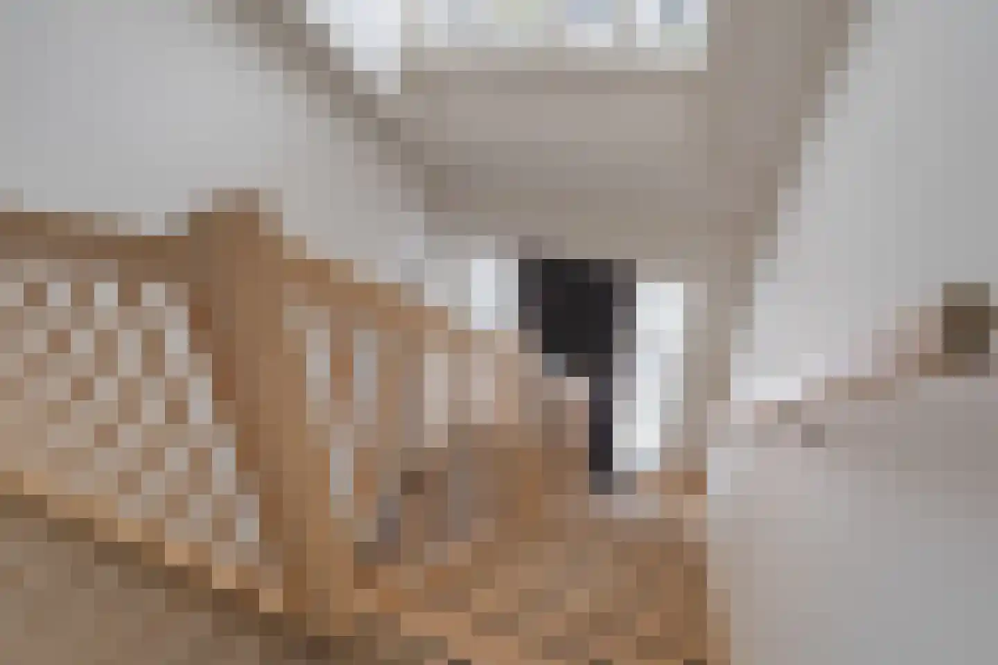 Lage Daalakker 8 Bavel thumbnail 27