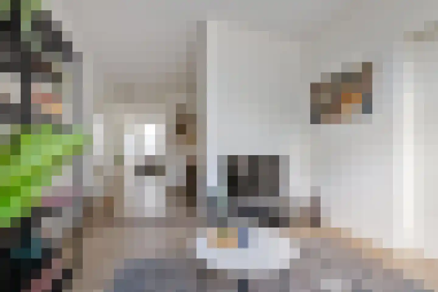 Lage der A 11 Groningen thumbnail 8