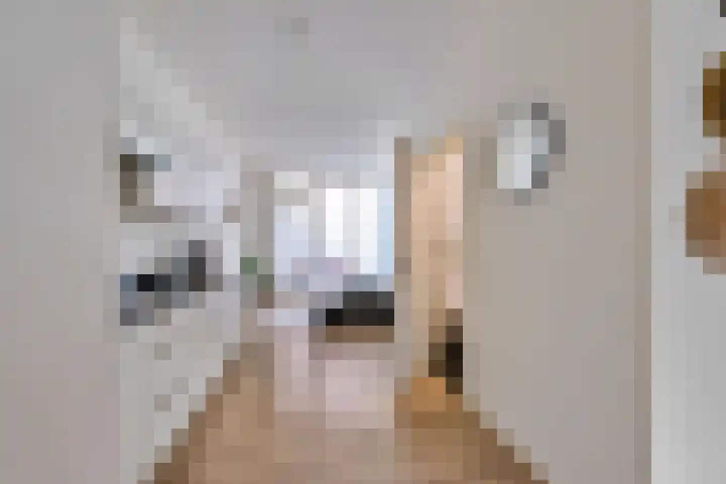 Lage der A 11 Groningen thumbnail 9