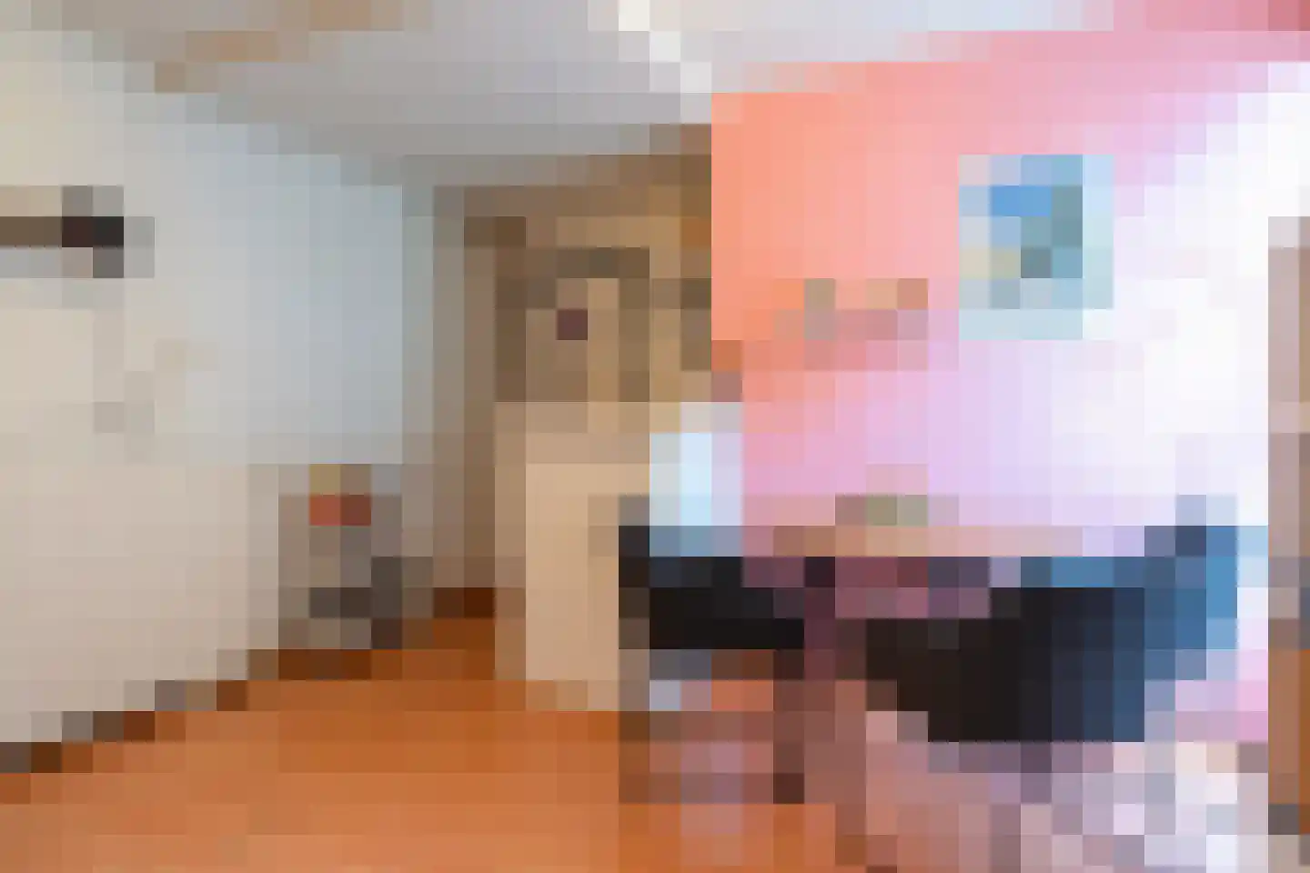 Lage der A 25 Groningen thumbnail 57