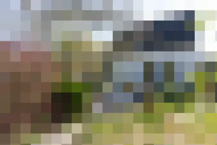 Lage Distelweg 4 Lengel thumbnail 11