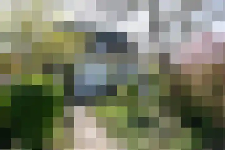 Lage Distelweg 4 Lengel thumbnail 13