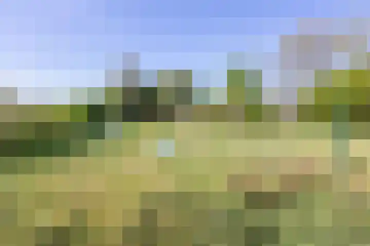 Lage Distelweg 4 Lengel thumbnail 14