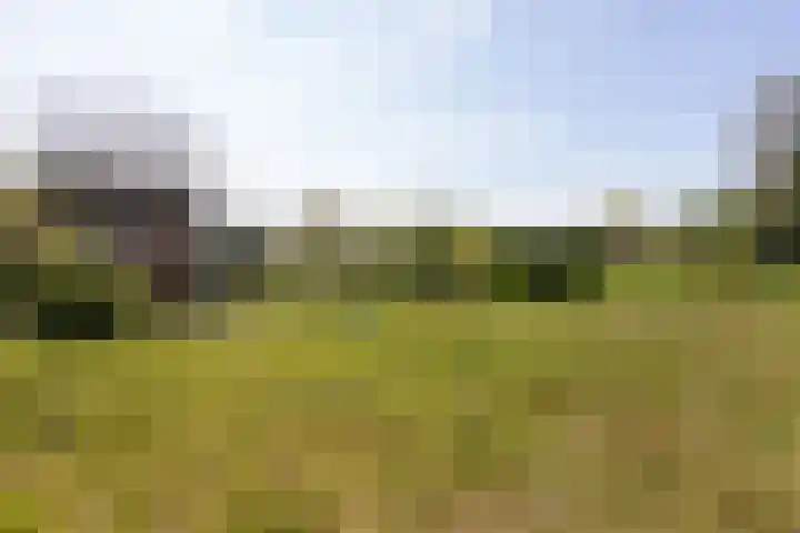 Lage Distelweg 4 Lengel thumbnail 15