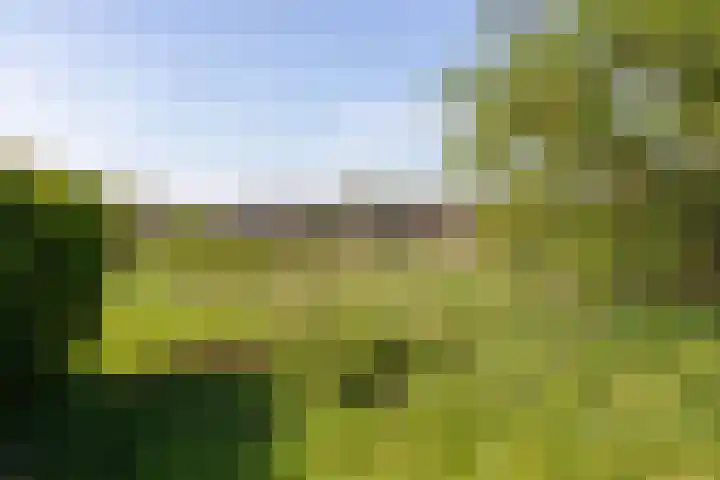 Lage Distelweg 4 Lengel thumbnail 16