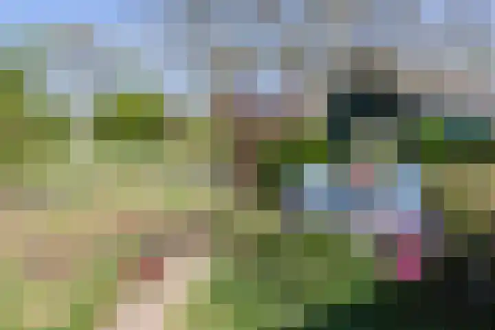 Lage Distelweg 4 Lengel thumbnail 18