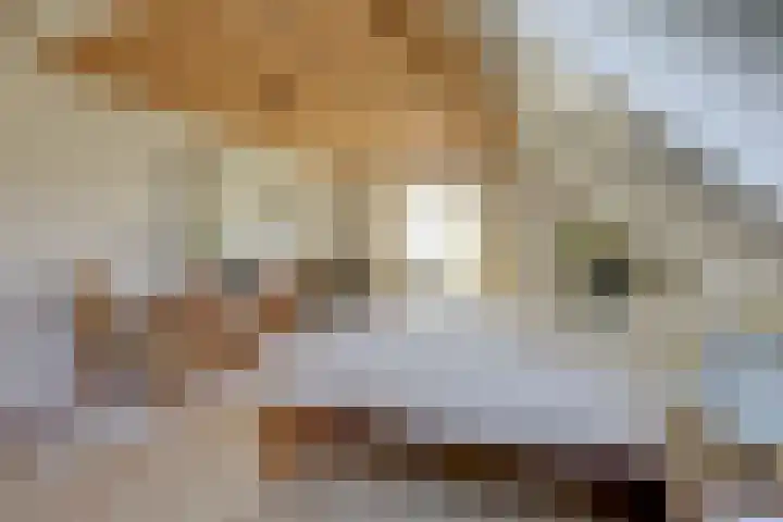 Lage Distelweg 4 Lengel thumbnail 42