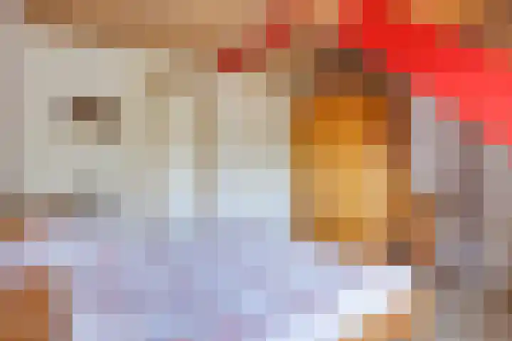 Lage Distelweg 4 Lengel thumbnail 46
