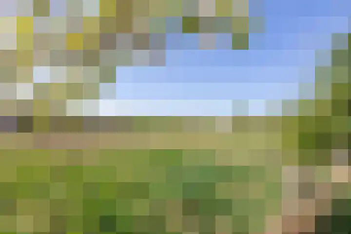 Lage Distelweg 4 Lengel thumbnail 8