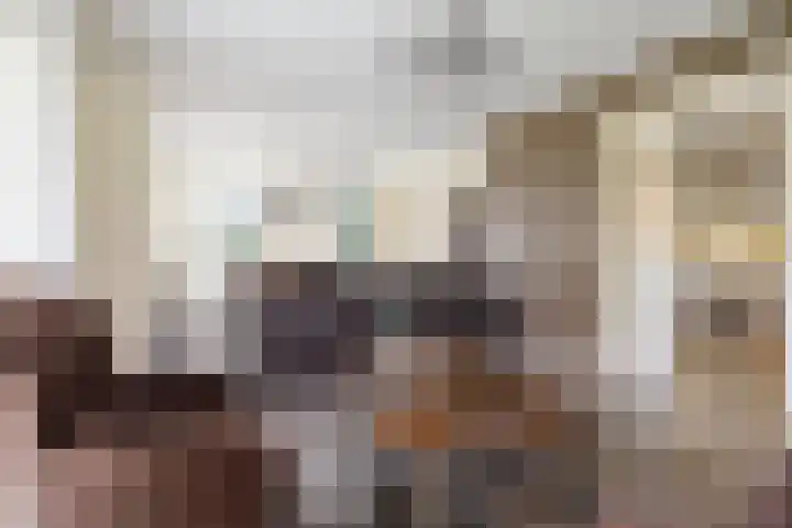 Lage Donk 72 Etten-Leur thumbnail 12