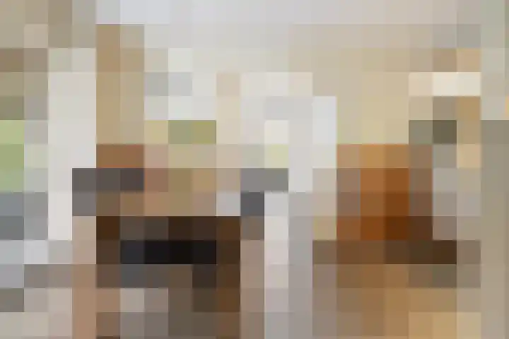 Lage Donk 72 Etten-Leur thumbnail 15
