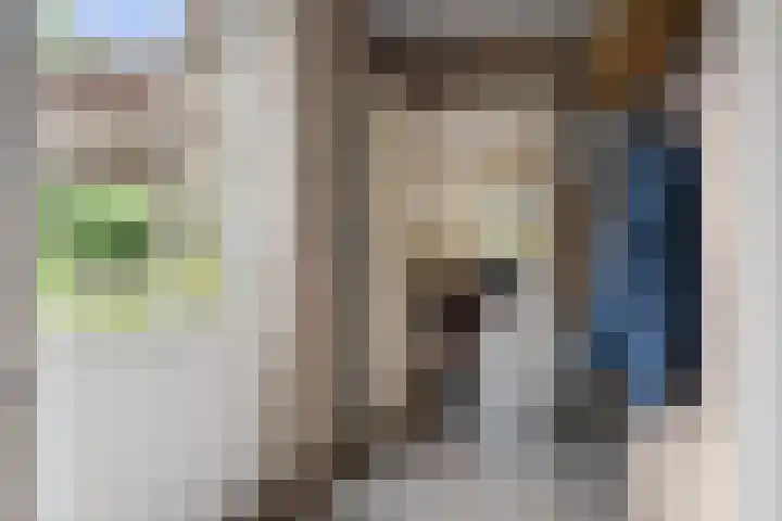 Lage Donk 72 Etten-Leur thumbnail 18
