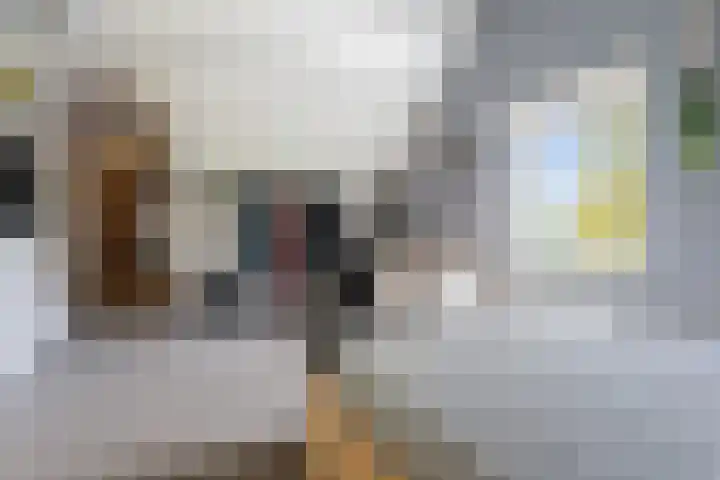 Lage Donk 72 Etten-Leur thumbnail 28