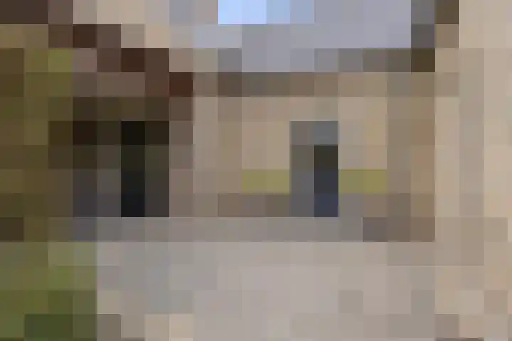 Lage Donk 72 Etten-Leur thumbnail 31