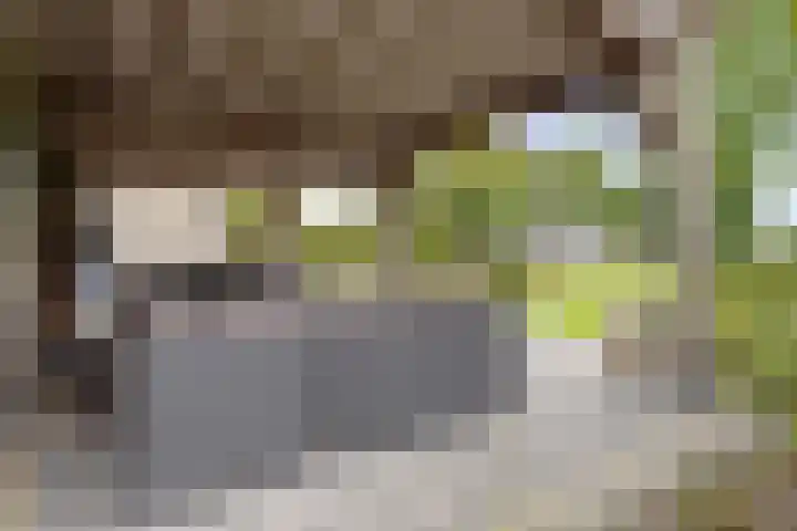 Lage Donk 72 Etten-Leur thumbnail 33