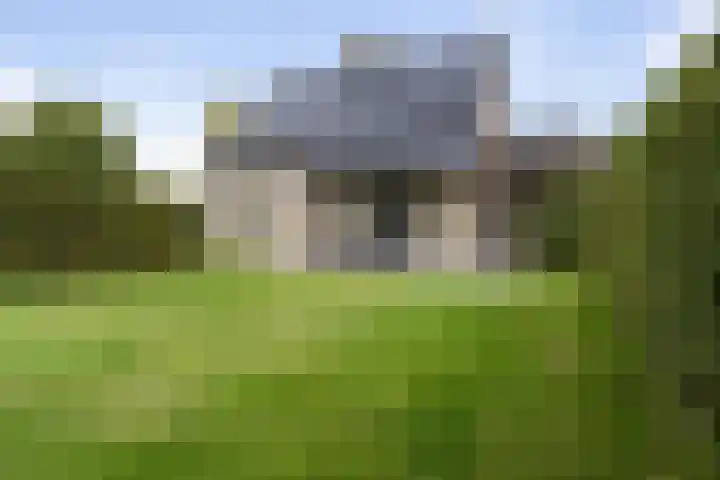 Lage Donk 72 Etten-Leur thumbnail 34