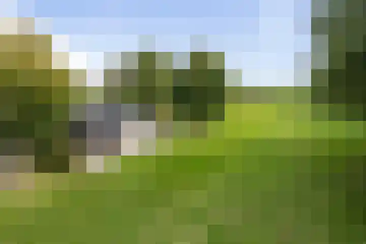 Lage Donk 72 Etten-Leur thumbnail 38