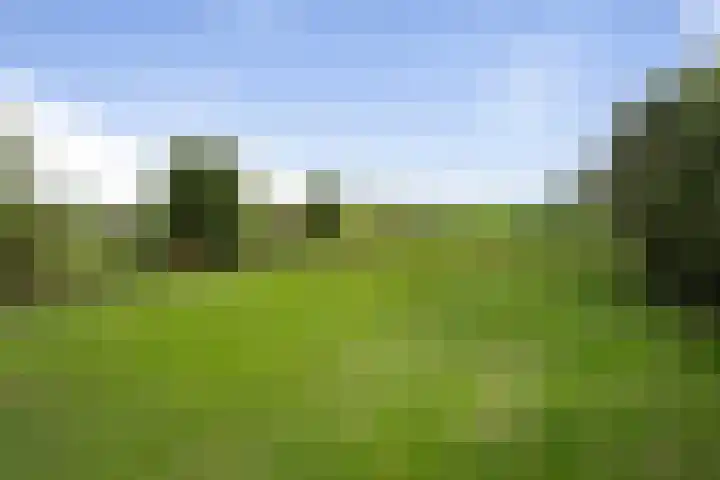 Lage Donk 72 Etten-Leur thumbnail 39