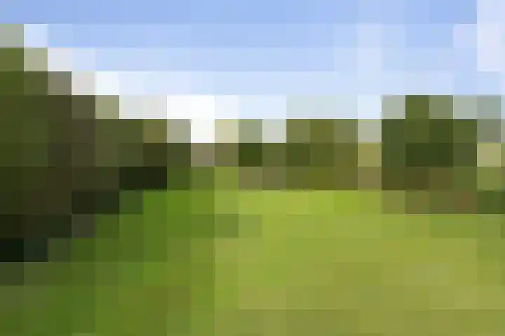 Lage Donk 72 Etten-Leur thumbnail 4