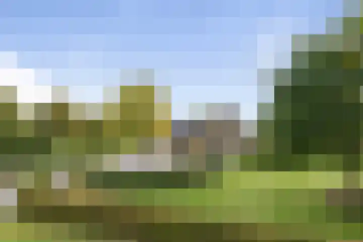 Lage Donk 72 Etten-Leur thumbnail 42
