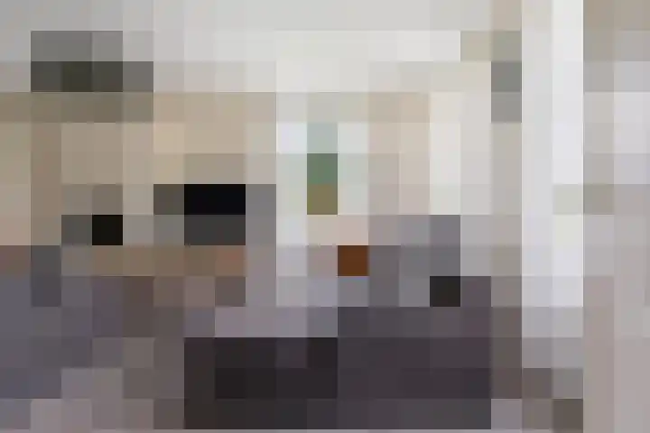Lage Donk 72 Etten-Leur thumbnail 6
