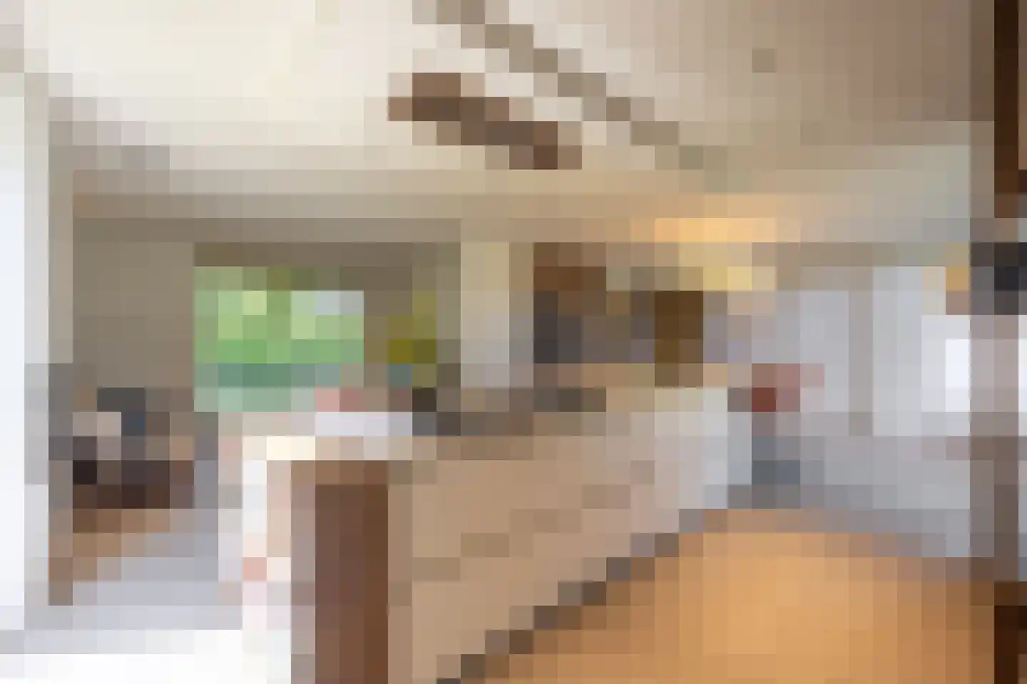 Lage Driesstraat 13 Helvoirt thumbnail 11