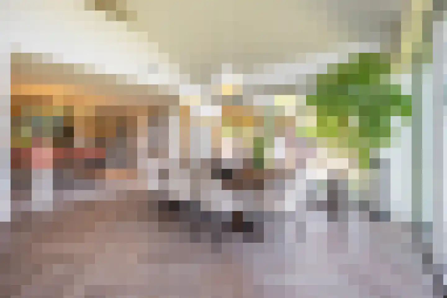 Lage Driesstraat 13 Helvoirt thumbnail 19