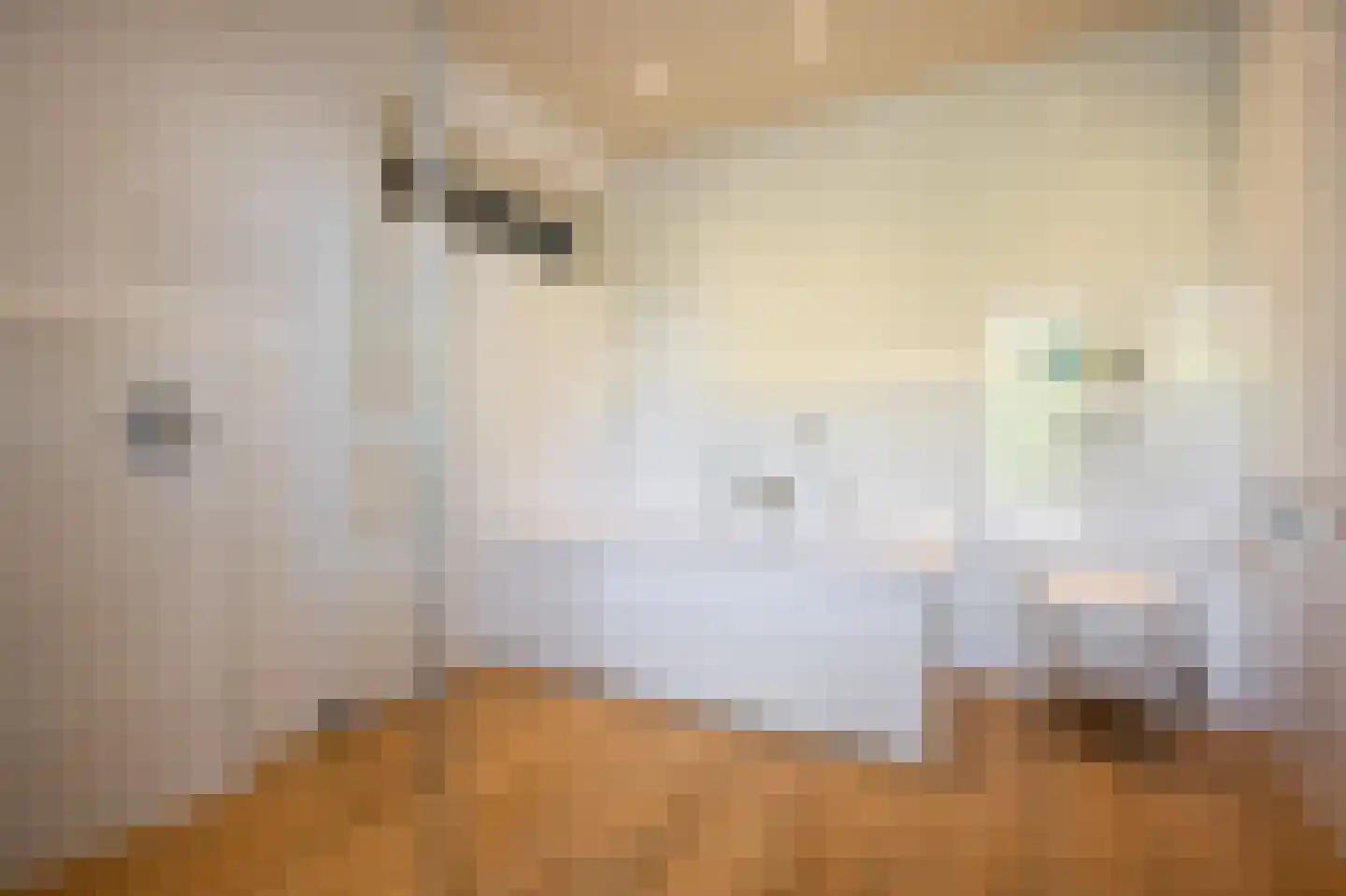 Lage Driesstraat 13 Helvoirt thumbnail 24