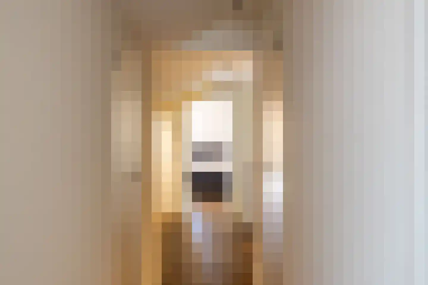 Lage Driesstraat 13 Helvoirt thumbnail 27
