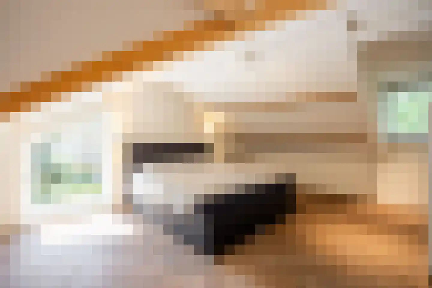 Lage Driesstraat 13 Helvoirt thumbnail 28