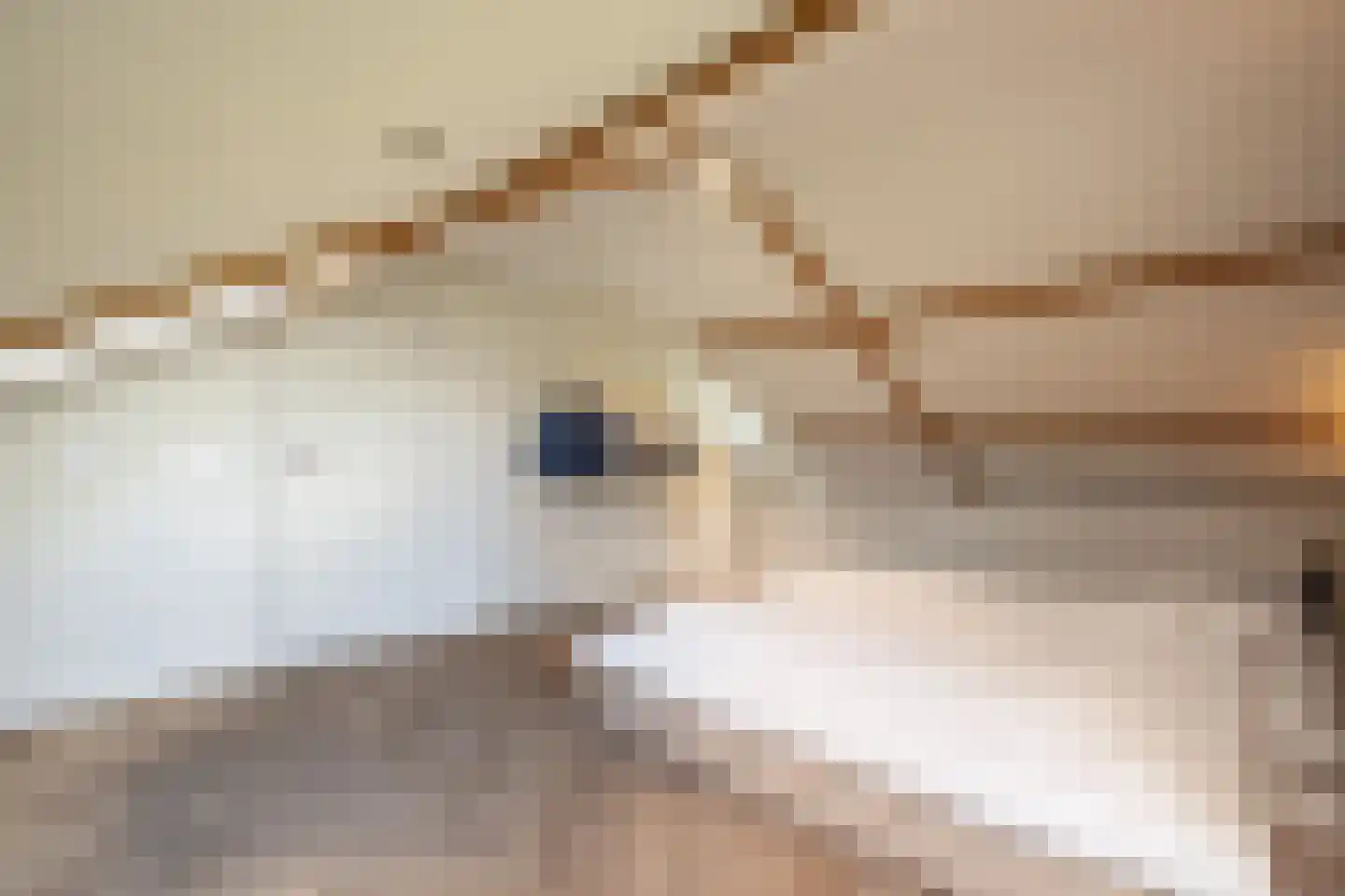 Lage Driesstraat 13 Helvoirt thumbnail 30