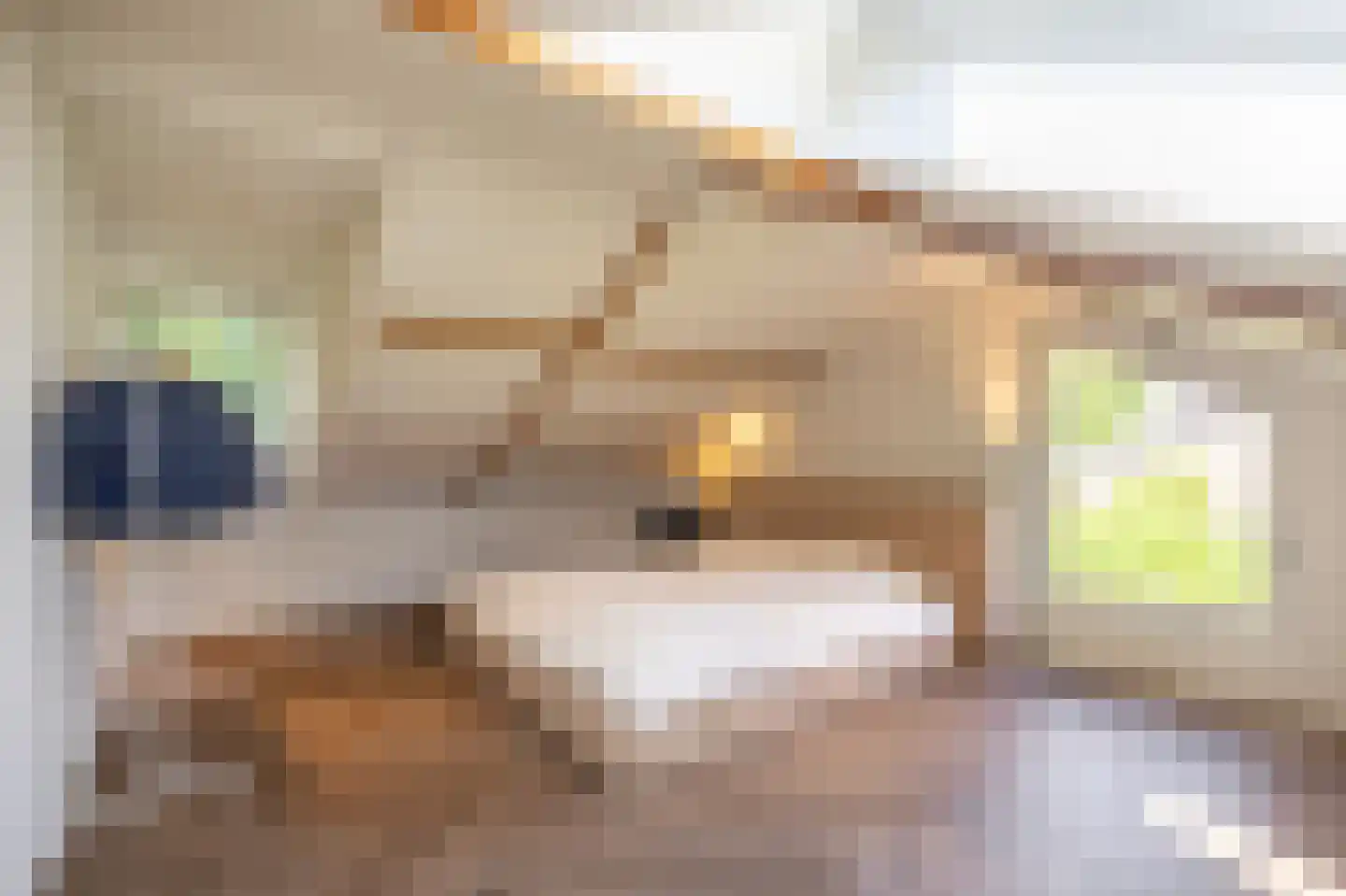 Lage Driesstraat 13 Helvoirt thumbnail 31
