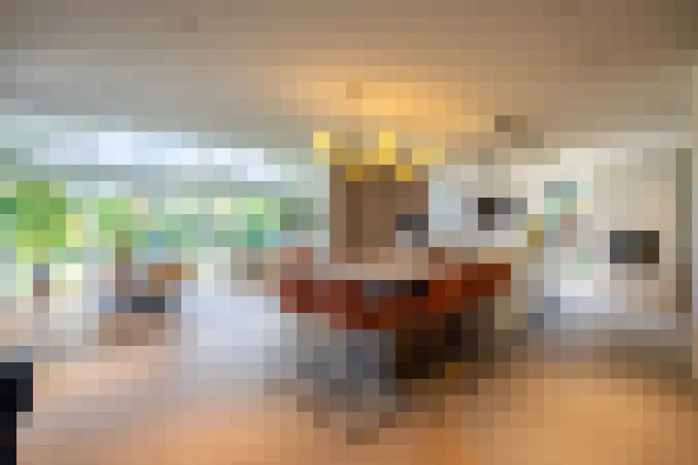 Lage Driesstraat 13 Helvoirt thumbnail 4