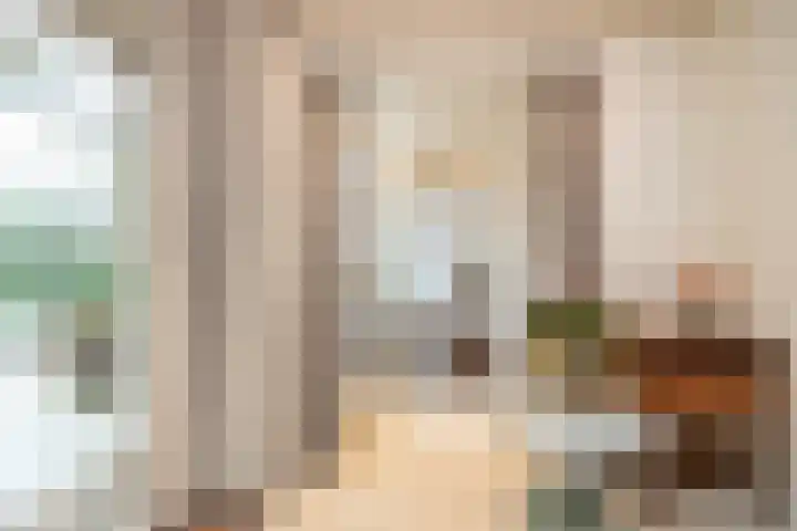 Lage Driesstraat 21 Helvoirt thumbnail 13