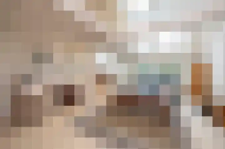 Lage Driesstraat 21 Helvoirt thumbnail 14