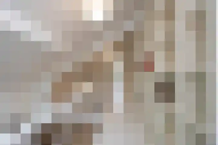Lage Driesstraat 21 Helvoirt thumbnail 17