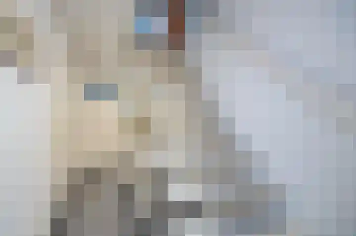 Lage Driesstraat 21 Helvoirt thumbnail 20