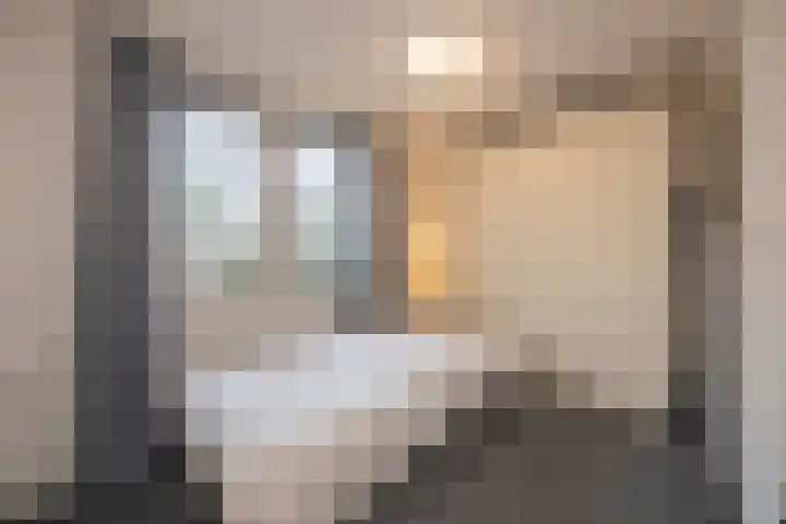 Lage Driesstraat 21 Helvoirt thumbnail 23