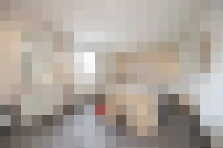 Lage Driesstraat 21 Helvoirt thumbnail 25