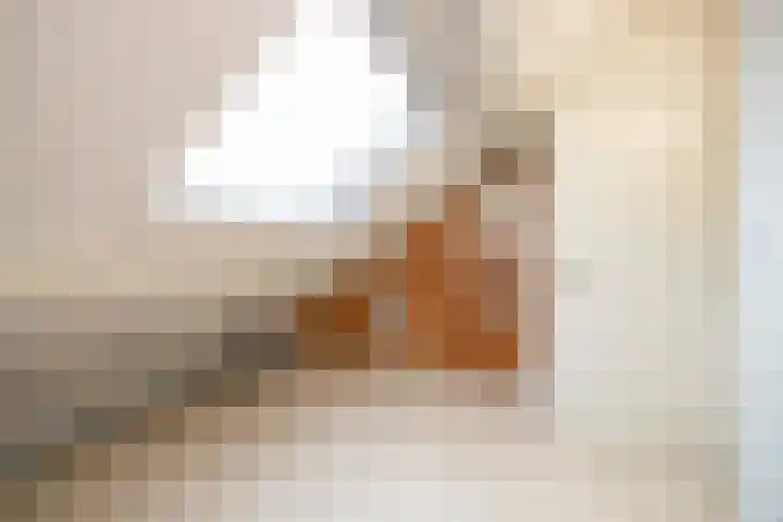 Lage Driesstraat 21 Helvoirt thumbnail 31