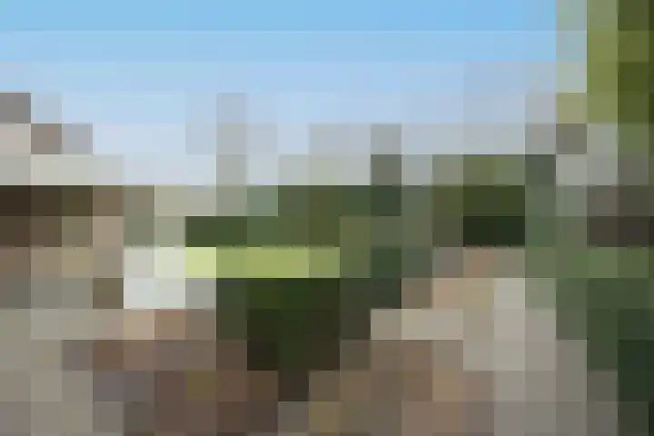 Lage Driesstraat 21 Helvoirt thumbnail 37