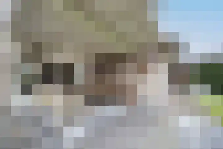 Lage Driesstraat 21 Helvoirt thumbnail 39