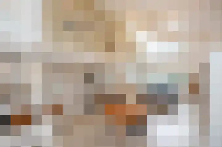 Lage Driesstraat 21 Helvoirt thumbnail 4