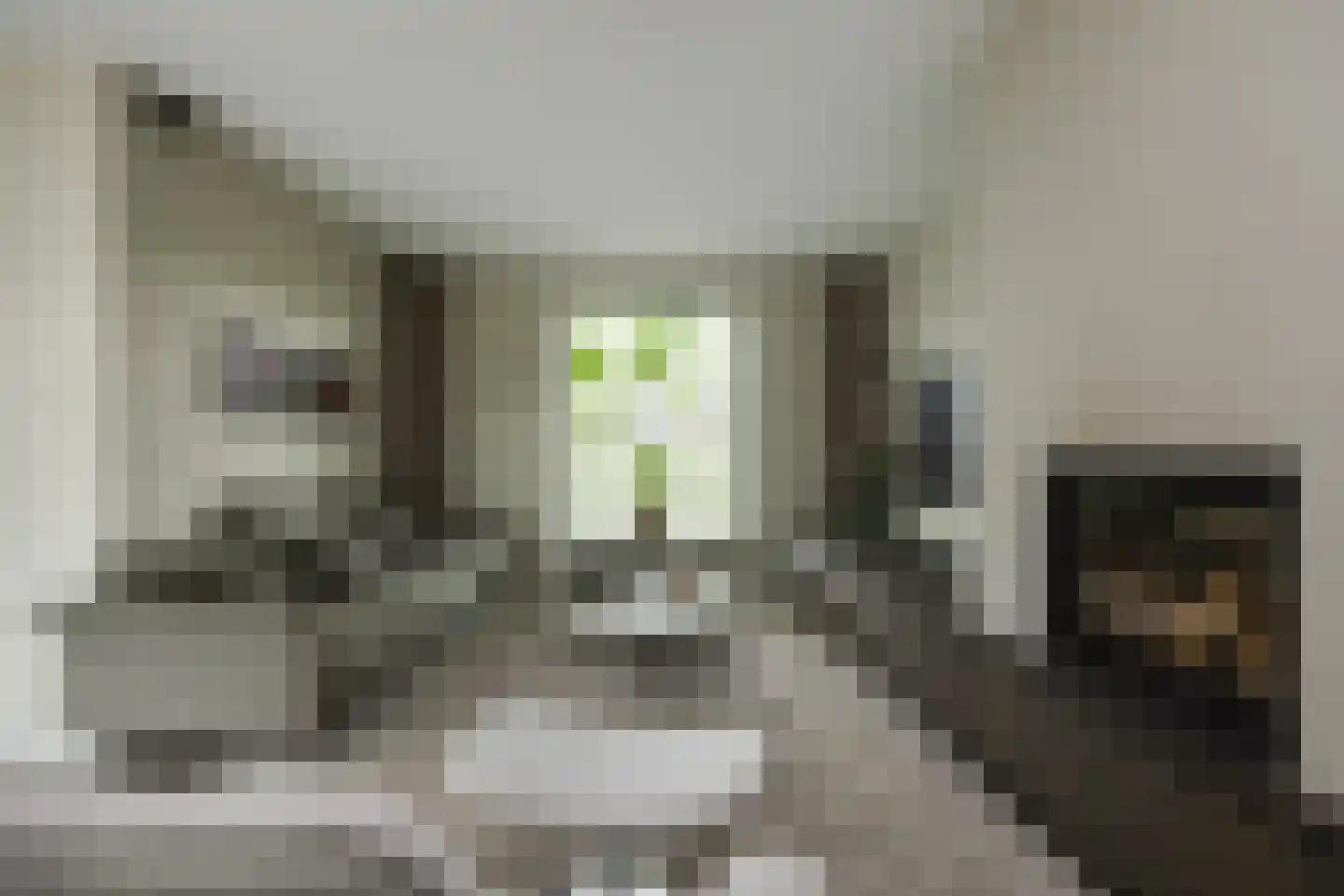 Lage Driesstraat 24 Helvoirt thumbnail 13