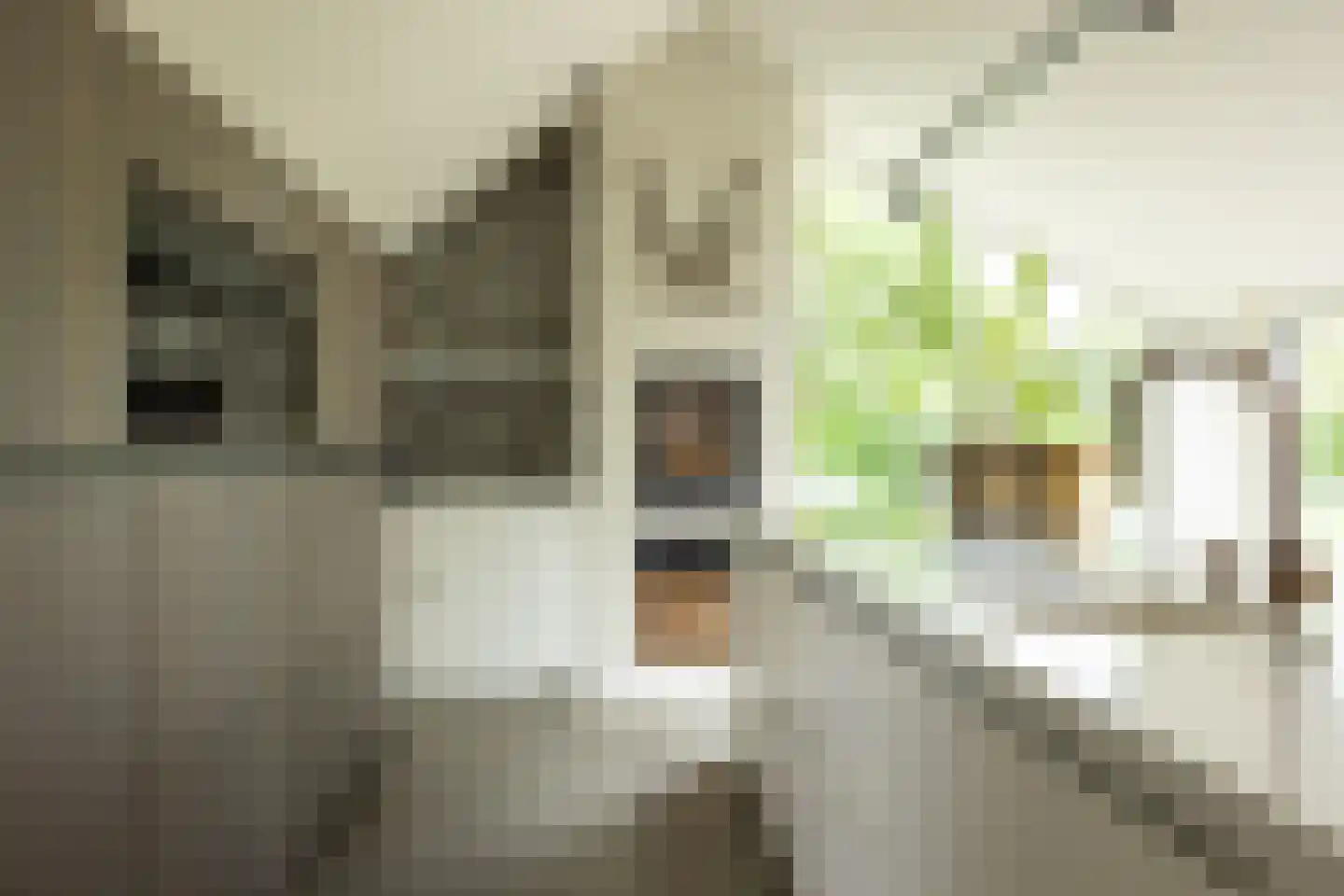 Lage Driesstraat 24 Helvoirt thumbnail 16
